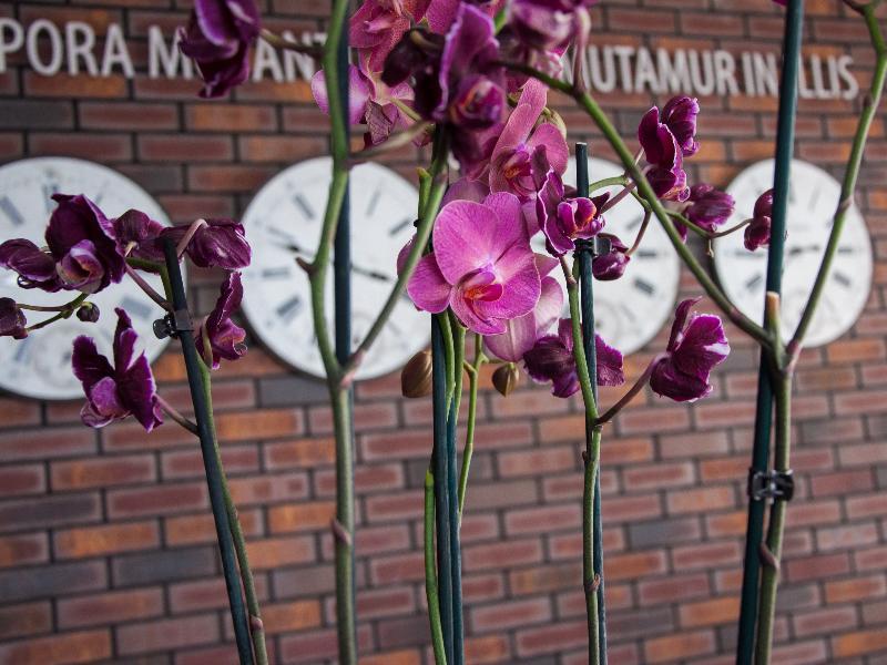 Manufactura Design-Hotel Khodosivka Ngoại thất bức ảnh